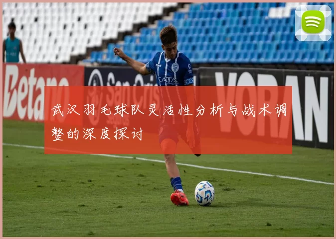 武汉羽毛球队灵活性分析与战术调整的深度探讨