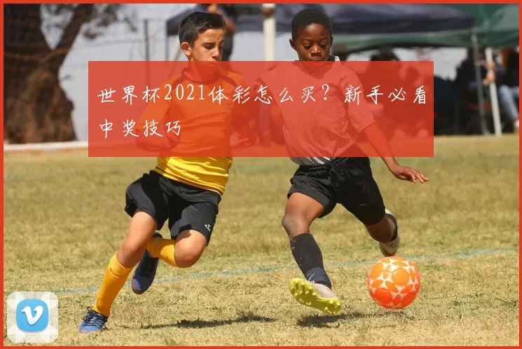 世界杯2021体彩怎么买？新手必看中奖技巧