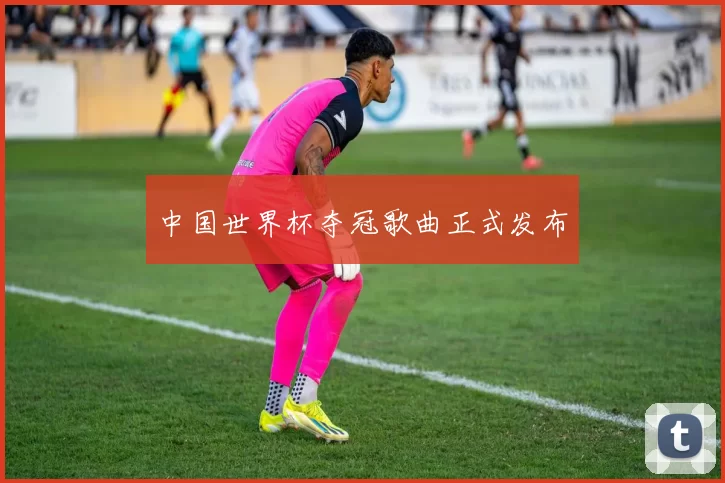 中国世界杯夺冠歌曲正式发布