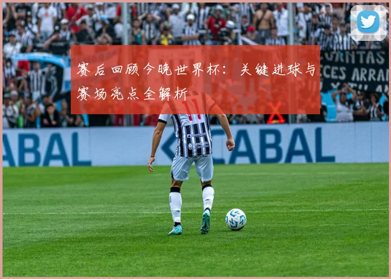 赛后回顾今晚世界杯:关键进球与赛场亮点全解析