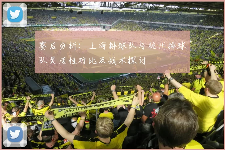 赛后分析:上海排球队与杭州排球队灵活性对比及战术探讨