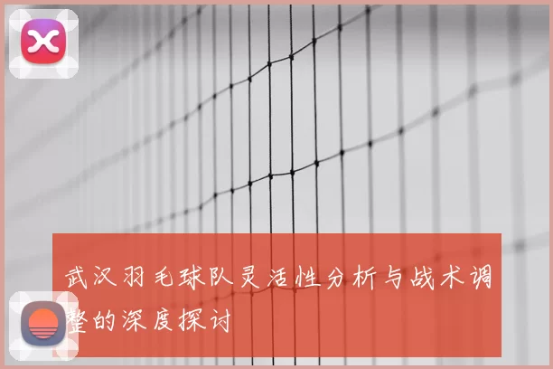 武汉羽毛球队灵活性分析与战术调整的深度探讨