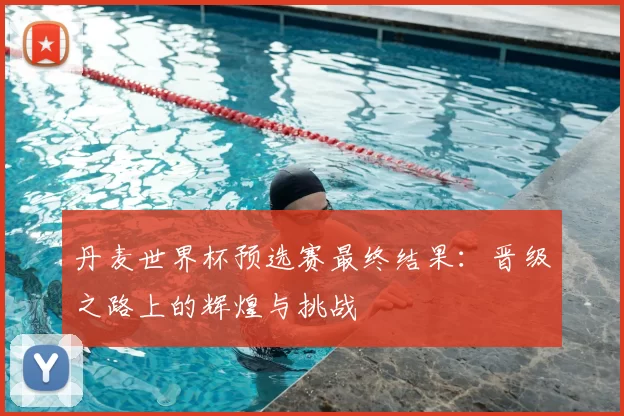 丹麦世界杯预选赛最终结果:晋级之路上的辉煌与挑战