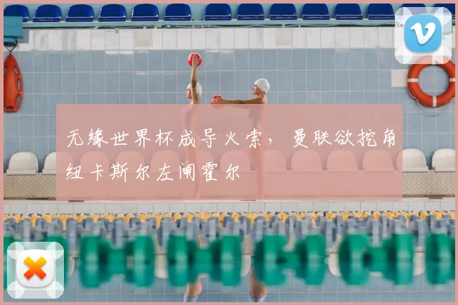 无缘世界杯成导火索，曼联欲挖角纽卡斯尔左闸霍尔