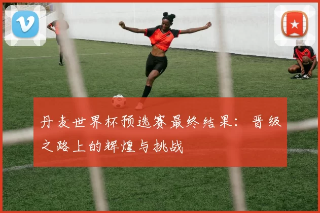 丹麦世界杯预选赛最终结果:晋级之路上的辉煌与挑战