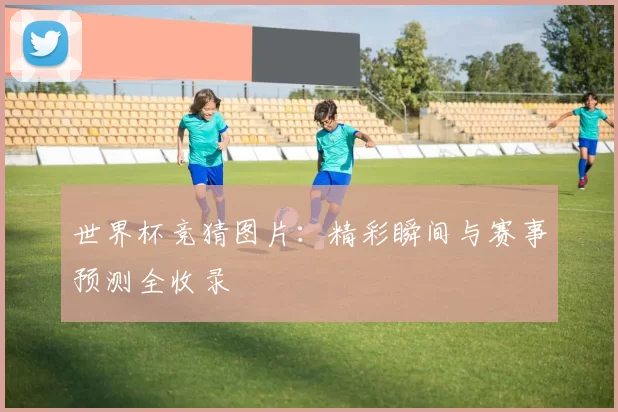 世界杯竞猜图片:精彩瞬间与赛事预测全收录