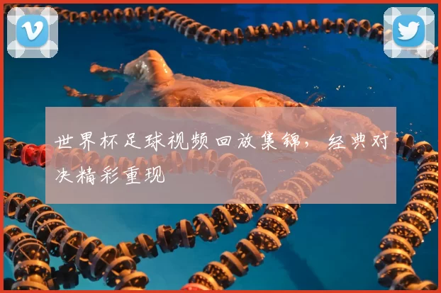世界杯足球视频回放集锦，经典对决精彩重现