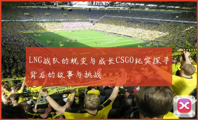 LNG战队的蜕变与成长CSGO纪实探寻背后的故事与挑战