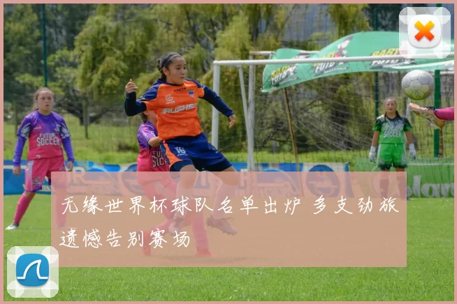 无缘世界杯球队名单出炉 多支劲旅遗憾告别赛场