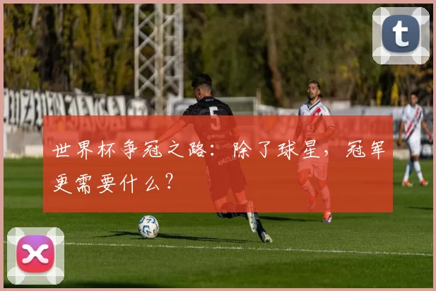 世界杯争冠之路：除了球星，冠军更需要什么？